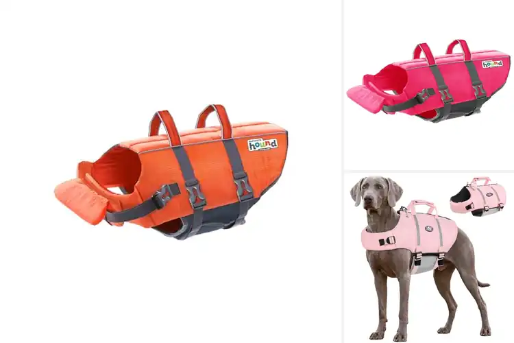 Detailed view of Best AOFTEE Dog Life Jacket: Safe & Stylish Water Fun