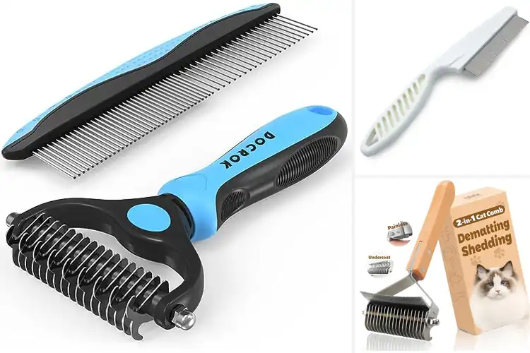 Detailed view of Best Detangling Combs for Cats