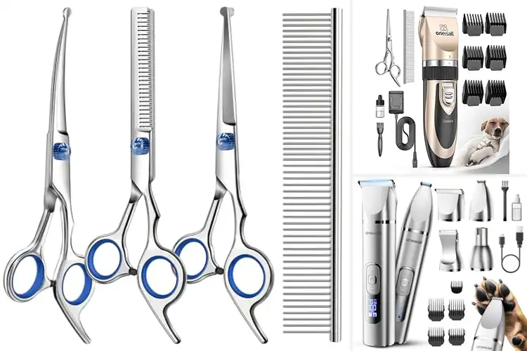 Detailed view of Best Dog Grooming Tools