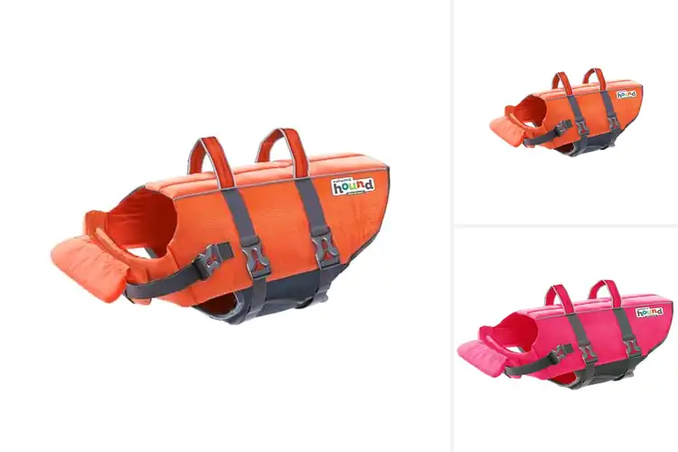 Detailed view of Best Dog Life Jacket: Top Picks for Safe Water Fun
