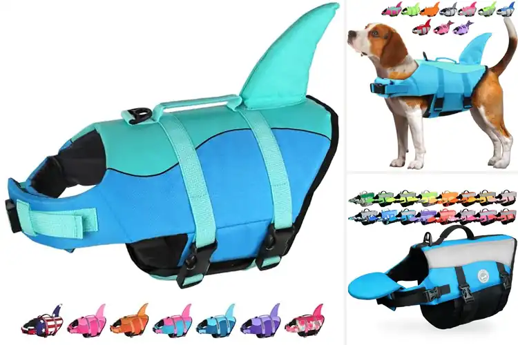 Detailed view of Best Floating Dog Vest For Swimming