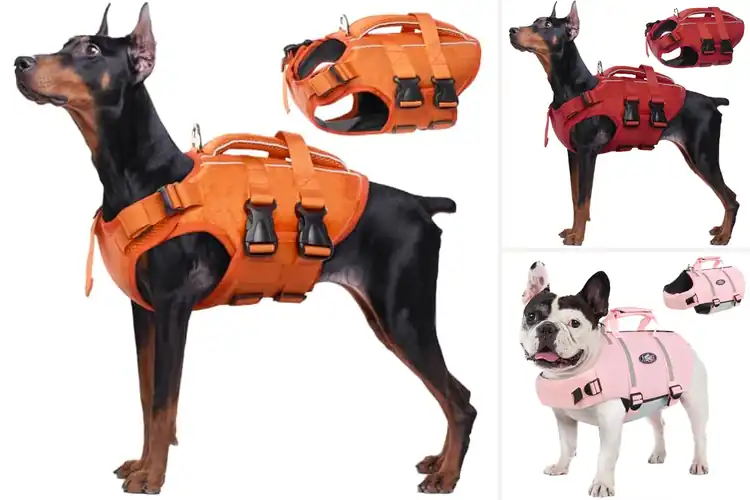 Detailed view of Best High Flotation Dog Vest: Top 10 Picks for Water Safety