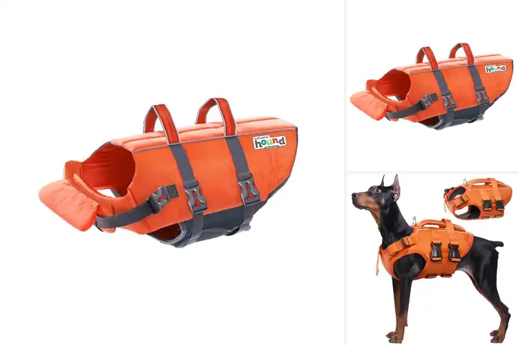Detailed view of Best Large Dog Life Jacket: Top 10 Picks for Safe Water Fun