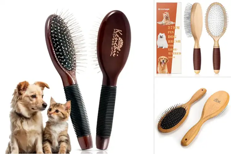Detailed view of Best Non Slip Wood Handle Grooming Brush