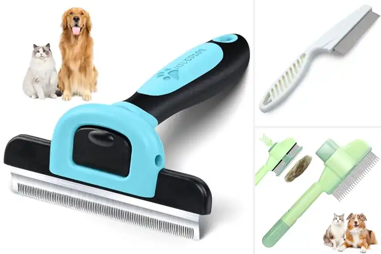 Detailed view of Best Pet Combs for Short Hair