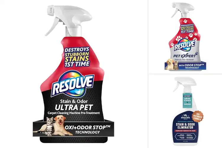 Detailed view of Best Pet Mess Cleaners