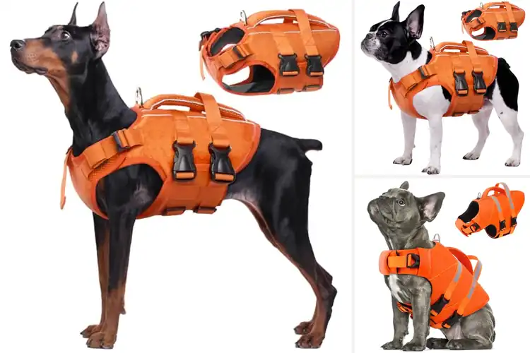Detailed view of Best Reflective Pet Life Vest