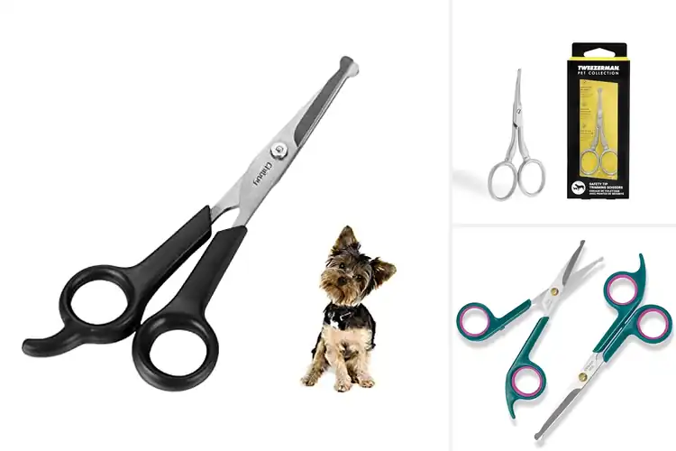Detailed view of Best Safe Rounded End Blades Pet Grooming