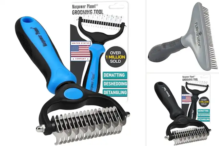 Detailed view of Best Undercoat Rake For All Hair Types